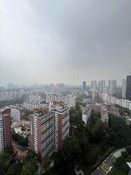 Stirling Residences (D3), Apartment #632782901